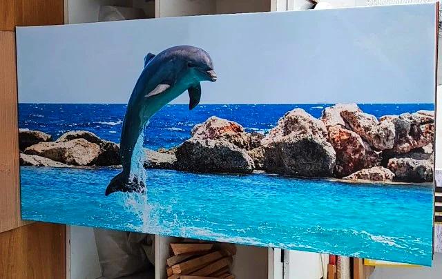 Delfin-60X120 CM - Image 2